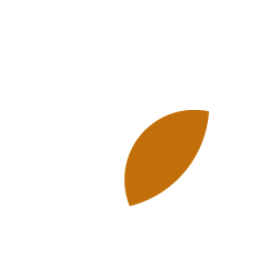 Chat with Salal online